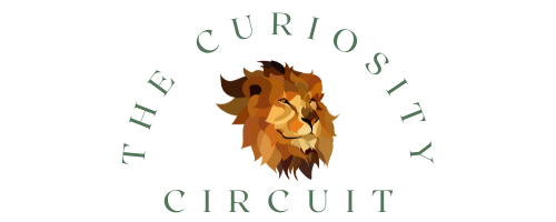 The Curiosity Circuit